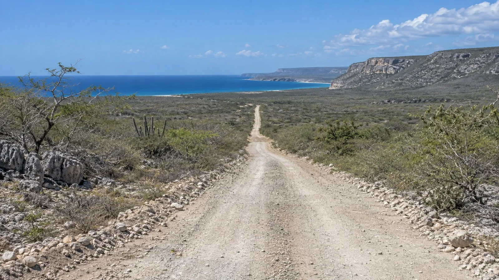 Unpaved road crossing dry coastal scrub toward Pedernales