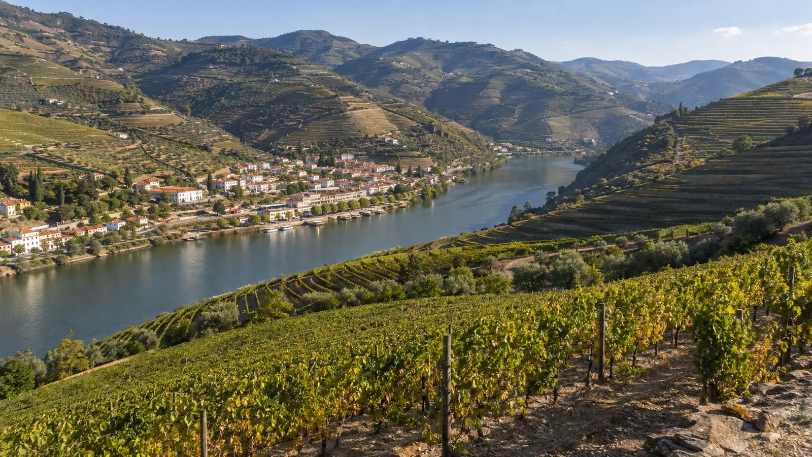 Douro vineyard terraces above Pinhão