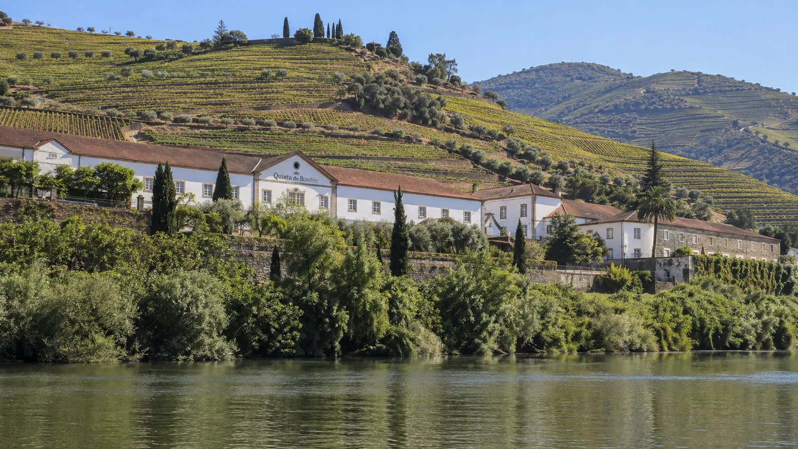 Quinta do Bomfim winery buildings and vineyard