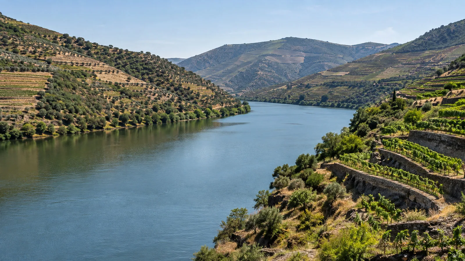 Douro River terraces near Pocinho