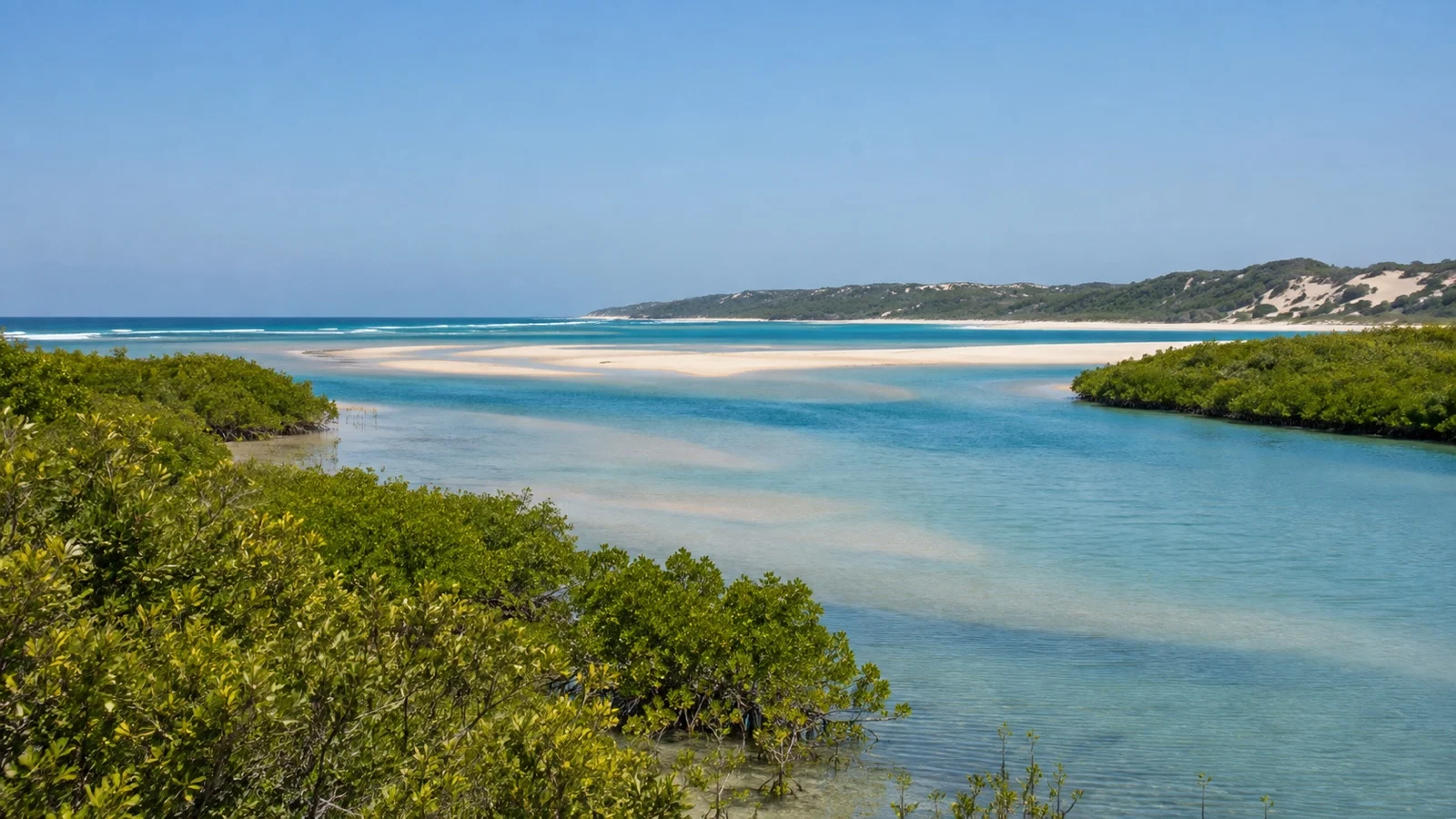 Mangrove-lined lagoon and sandbars at Pomene Bay, Mozambique
