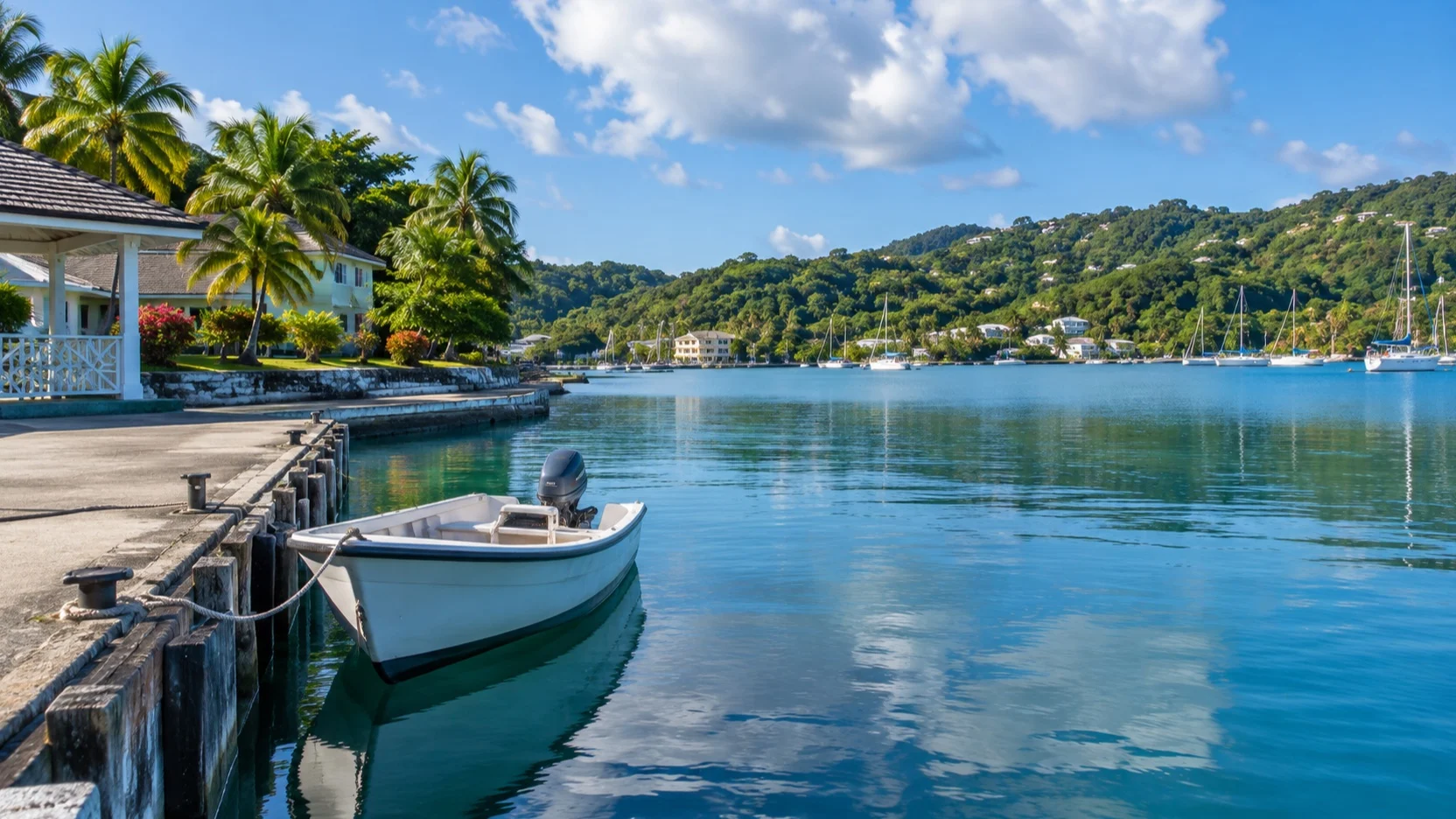 Tender landing at Port Antonio marina