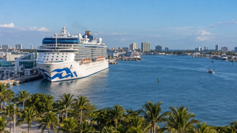 Cruise ship docked at Port Everglades in Fort Lauderdale