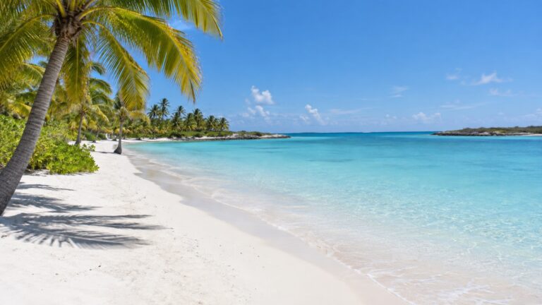 Empty palm-lined beach at Princess Cays on Eleuthera