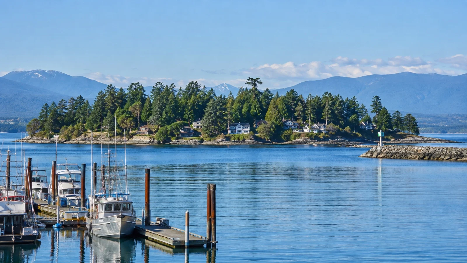 Wooded Protection Island across Nanaimo harbor
