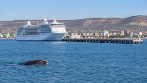 Featured image for Puerto Madryn Cruise Port Guide: Pier, Wildlife & Patagonia