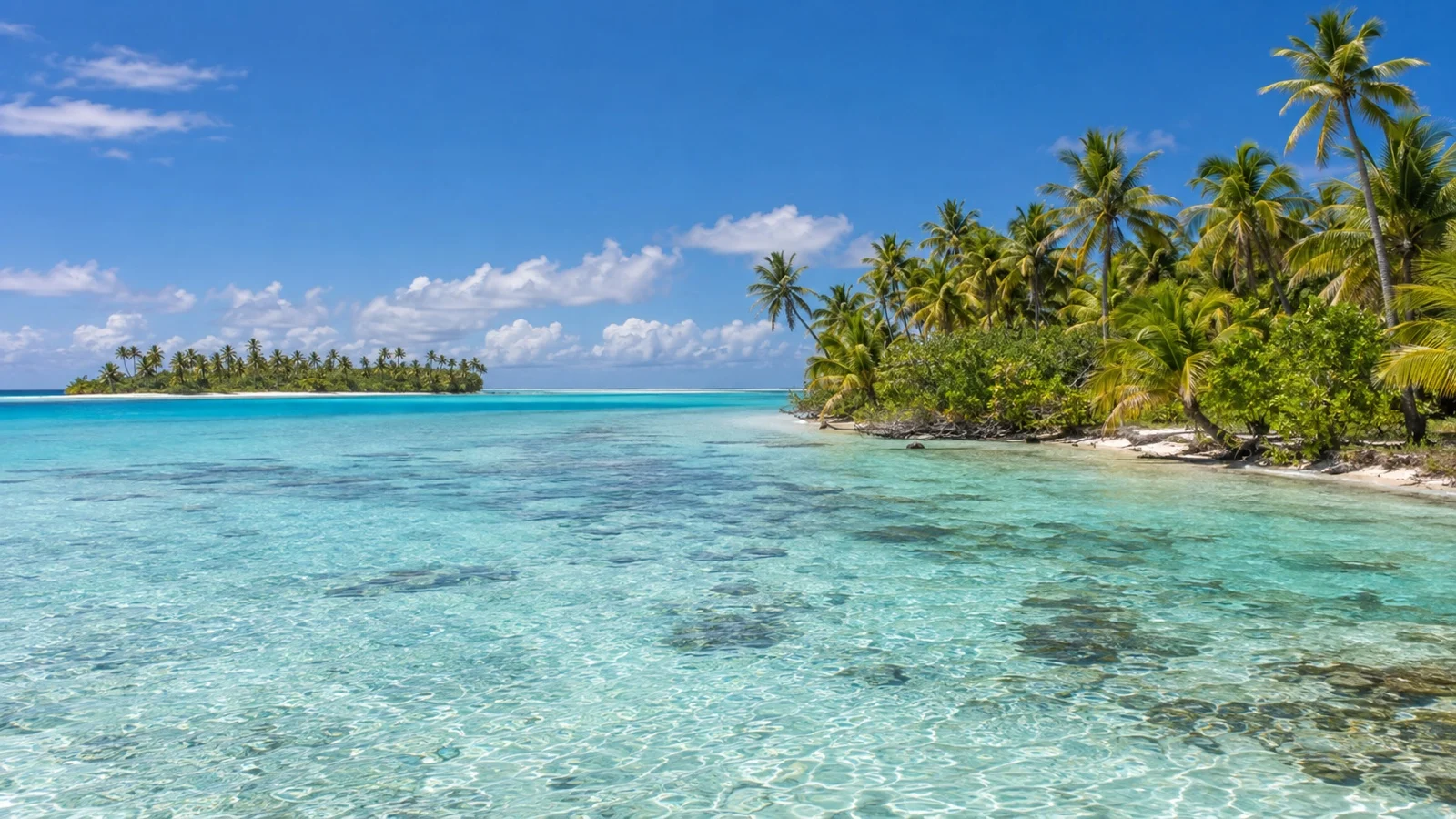 Small palm-fringed motu islands around the Blue Lagoon of Rangiroa