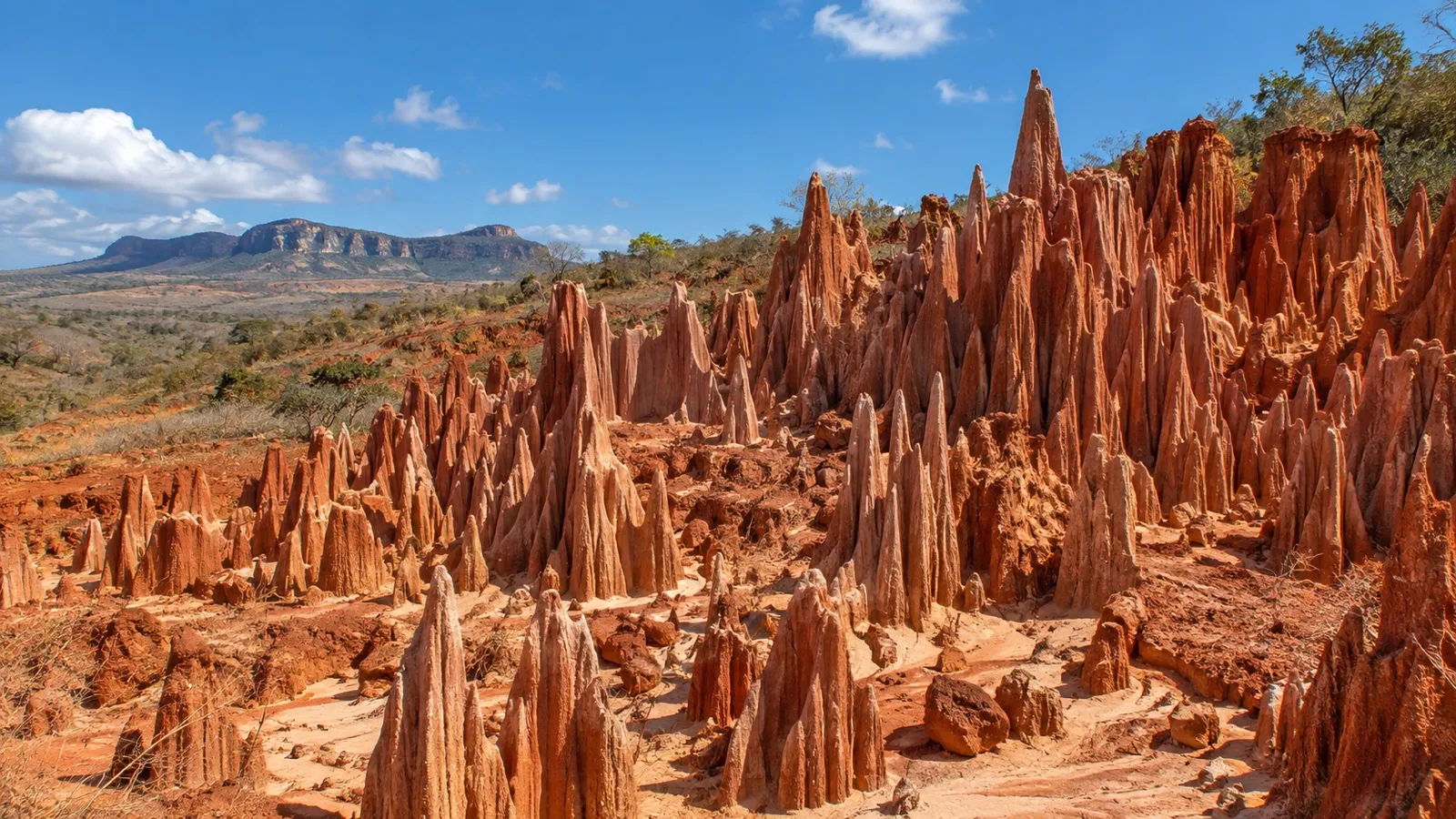 Red laterite pinnacles at Red Tsingy near Antsiranana, Madagascar