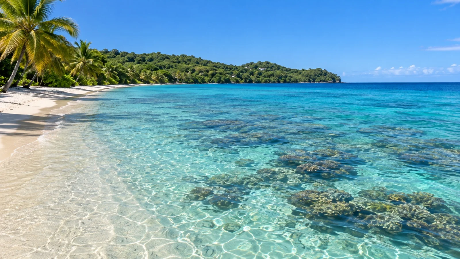 Clear water and nearshore coral along Roatan West Bay beach