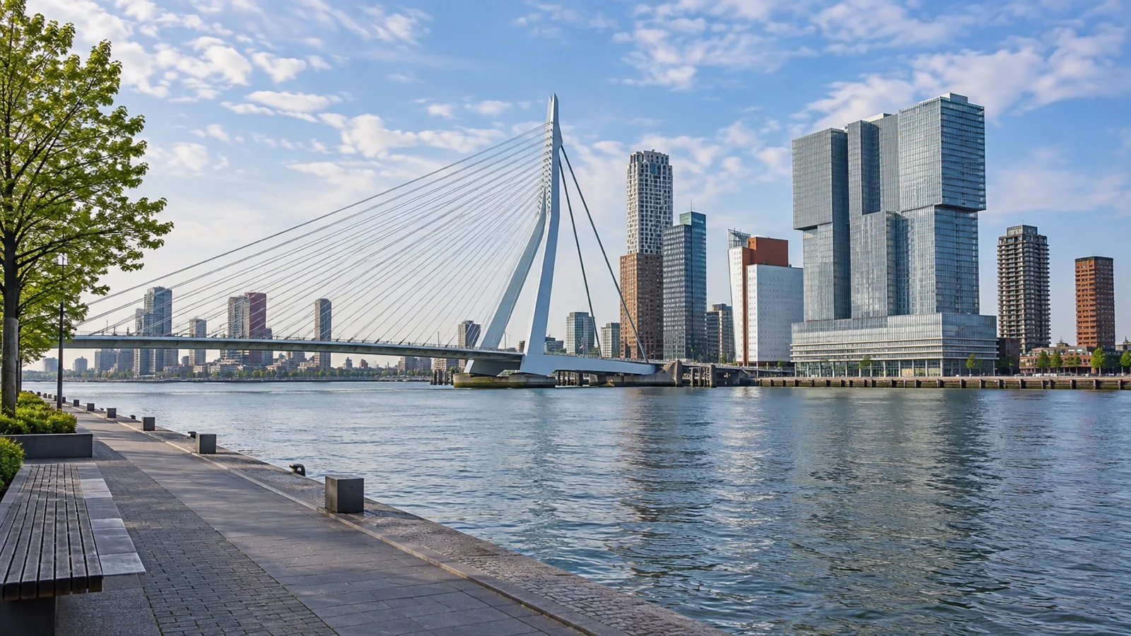 Erasmus Bridge spanning the Nieuwe Maas beside Rotterdam’s waterfront
