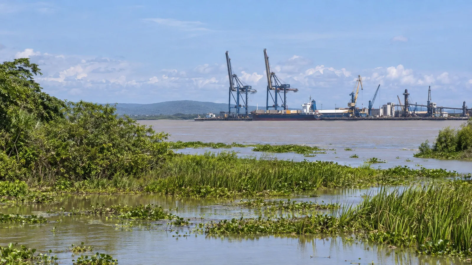 Sitionuevo port cranes beyond wetlands near the Magdalena River