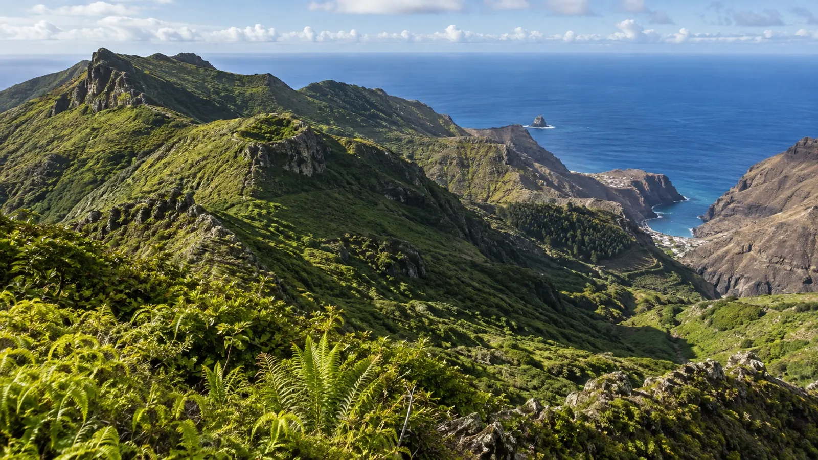 Green highlands and ocean views on Saint Helena