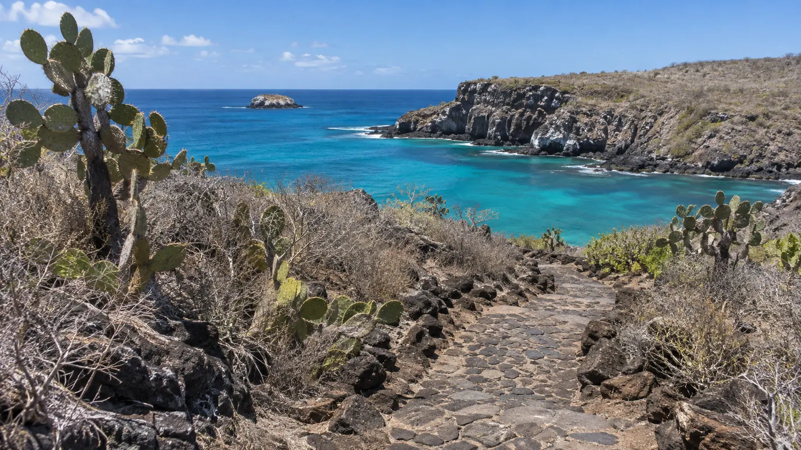Arid coastal trail toward Cerro Tijeretas above a Galápagos bay