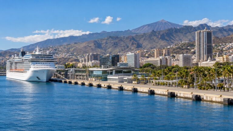 Cruise ship beside the Santa Cruz de Tenerife waterfront