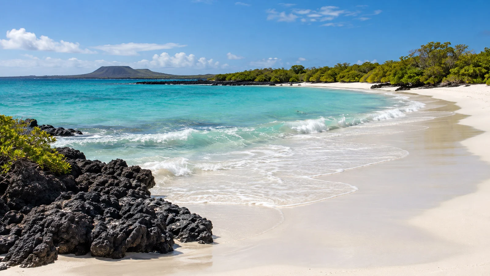 Tortuga Bay