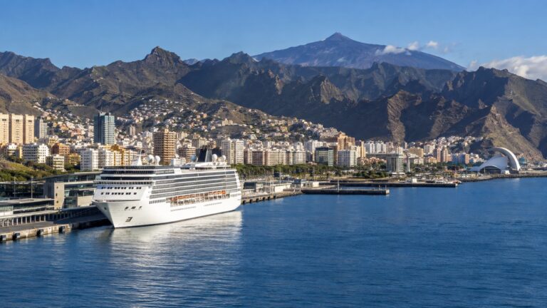 Cruise ship at Santa Cruz de Tenerife port