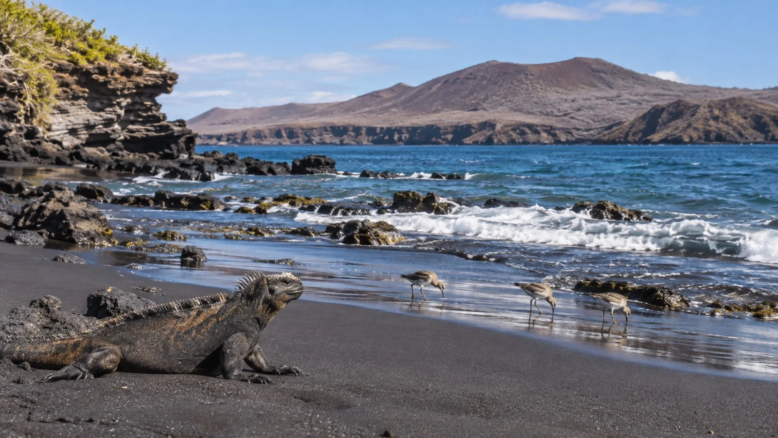 Puerto Egas black-sand beach