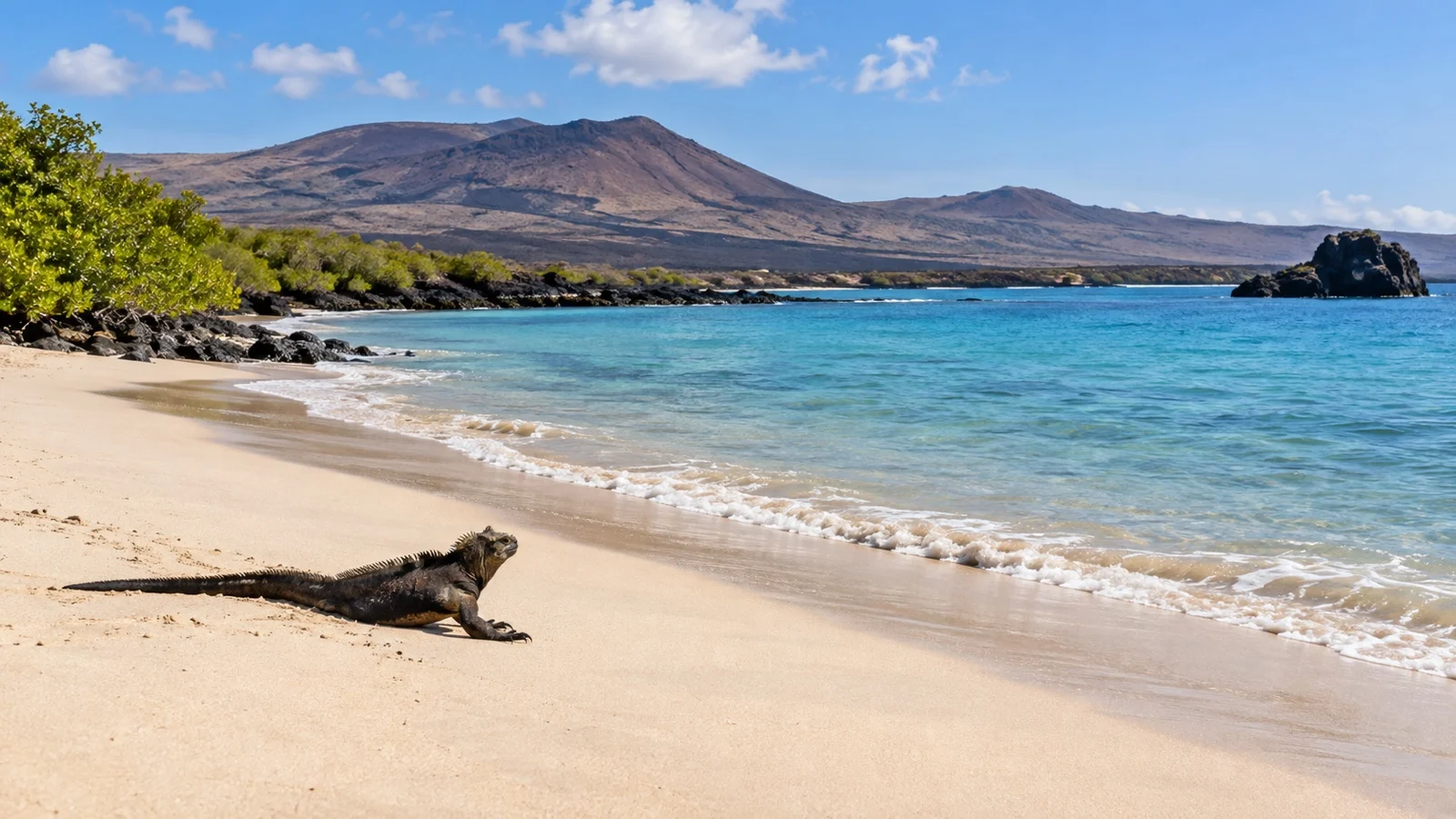 Espumilla Beach on Santiago Island