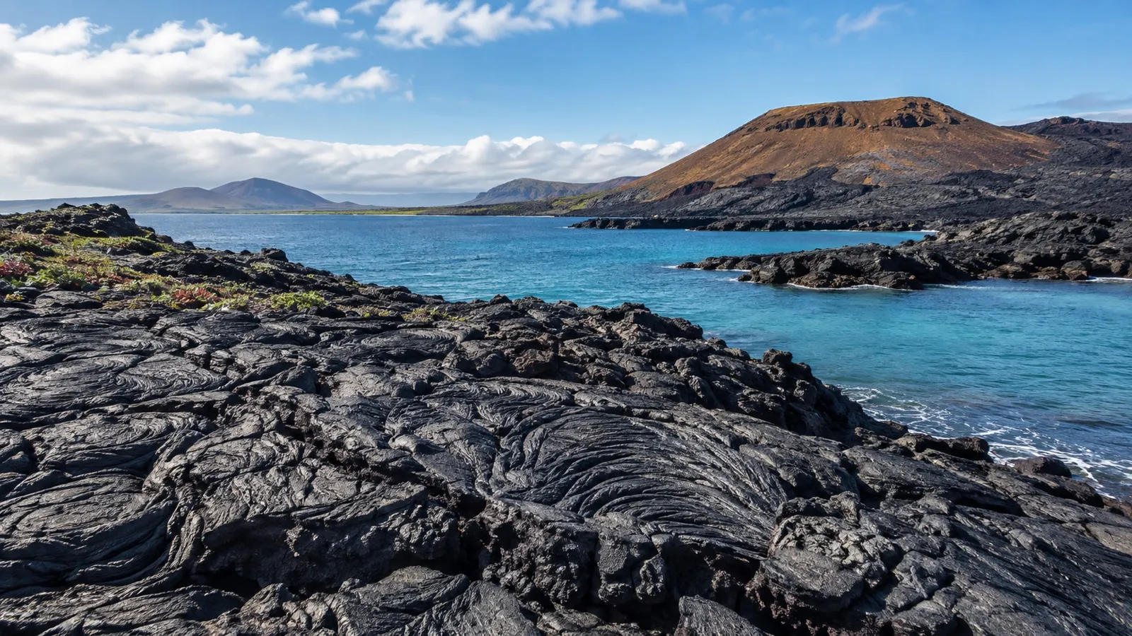 Sullivan Bay fresh lava field
