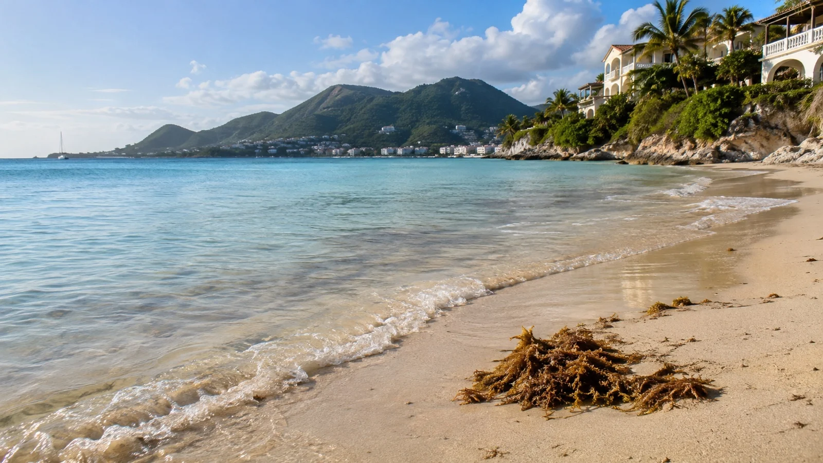 Empty cleaned beach with small pile of sargassum near shore