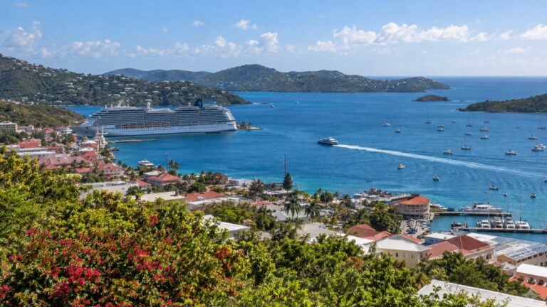 Charlotte Amalie cruise harbor and ferry route viewed from a hillside