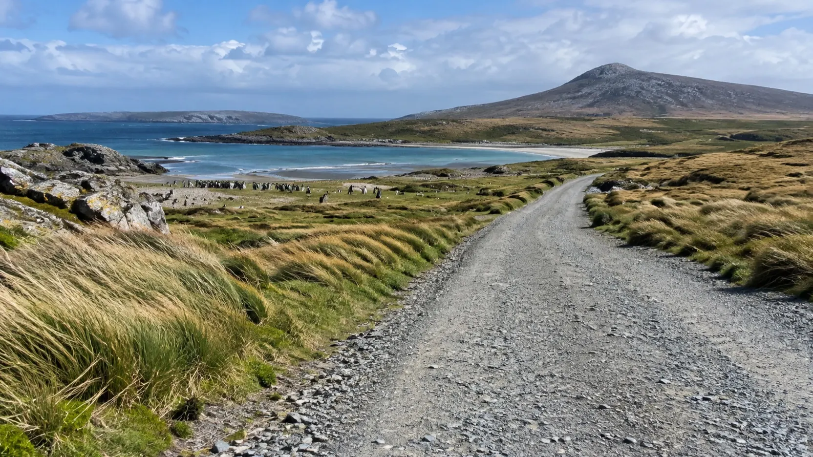 Gravel road across Falkland Islands grassland outside Stanley