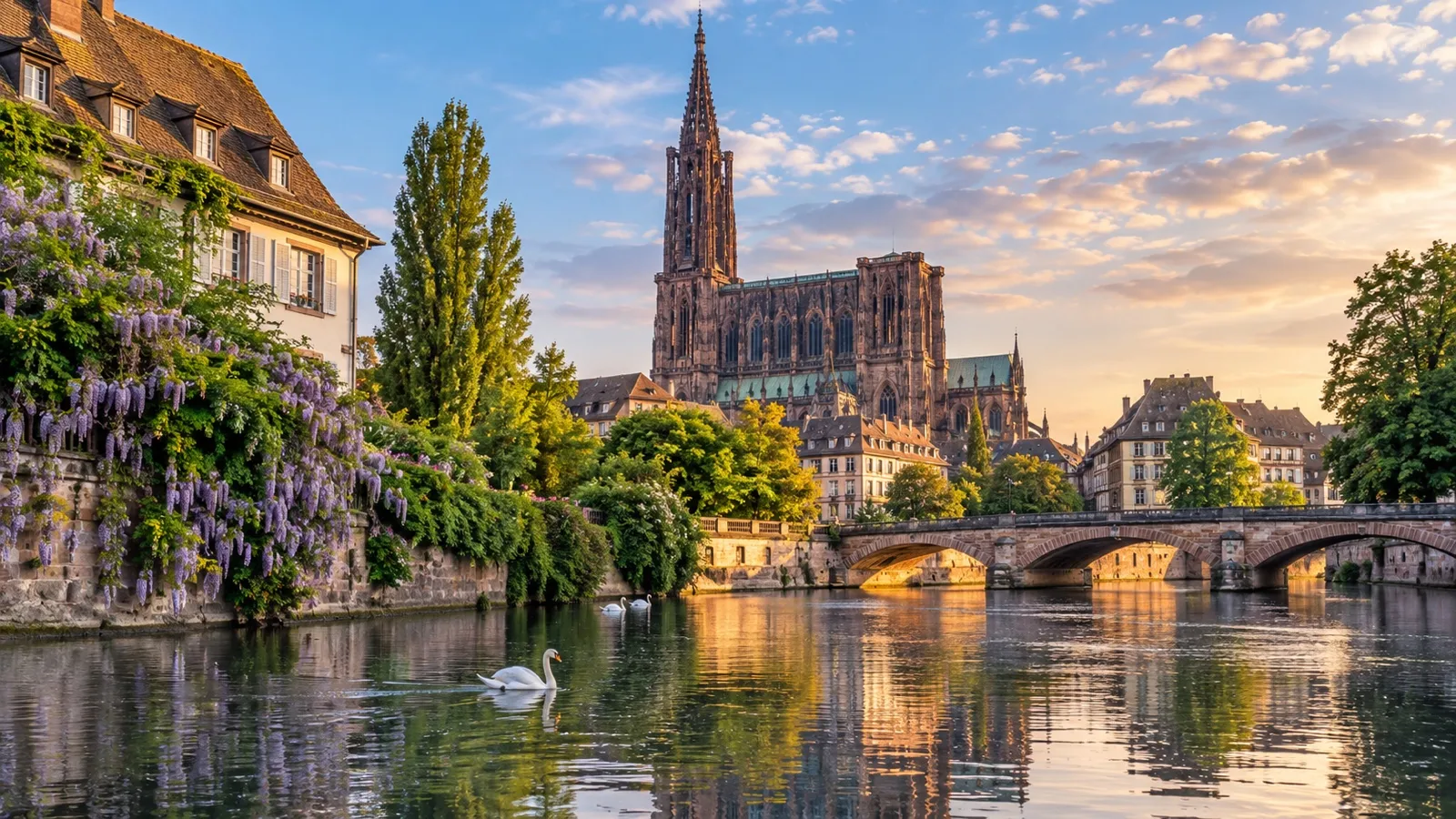 Strasbourg Cathedral in the historic center