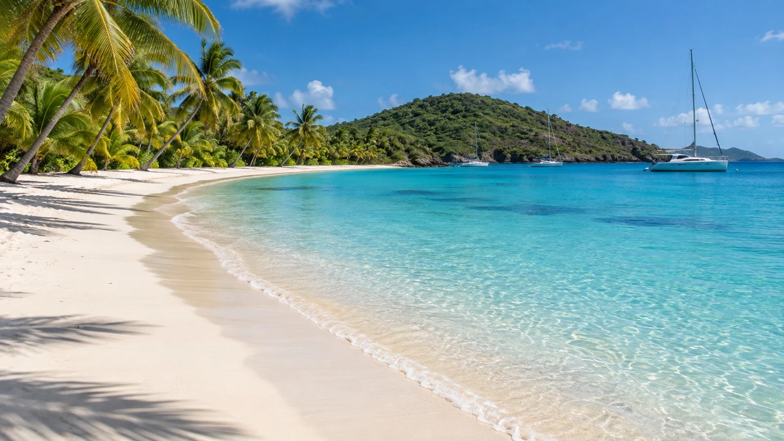 Tobago Cays marine park islands and reef