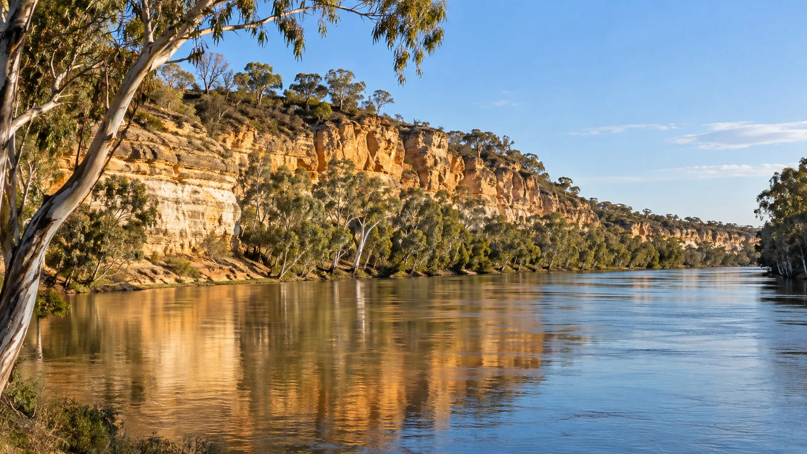 Swan Reach river cliffs and gum trees beside the Murray River