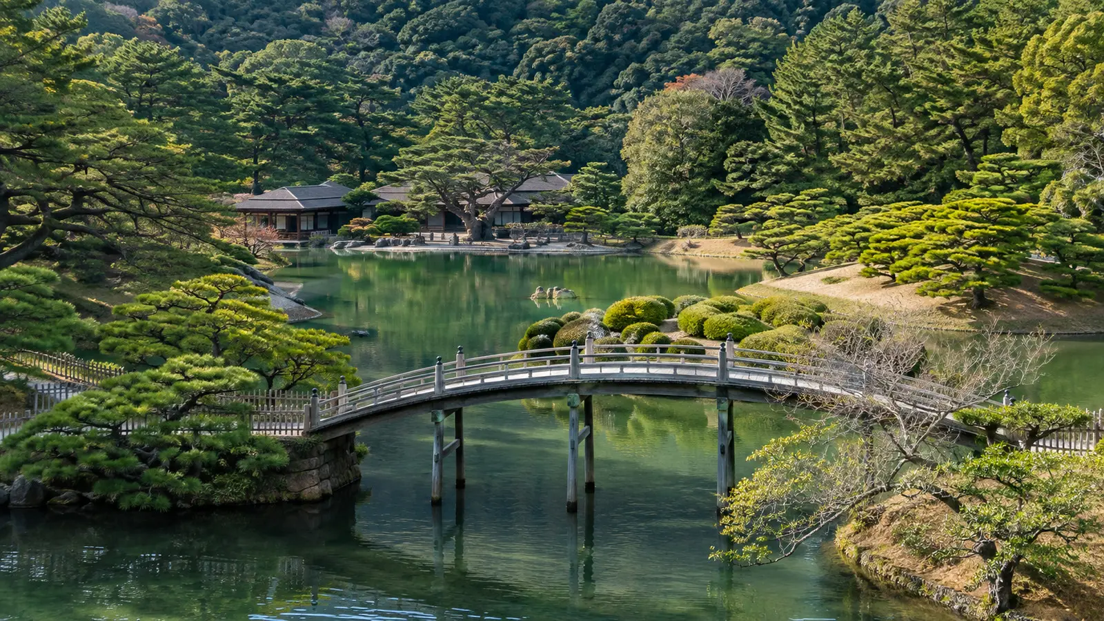 Ponds bridges and sculpted pines in Ritsurin Garden