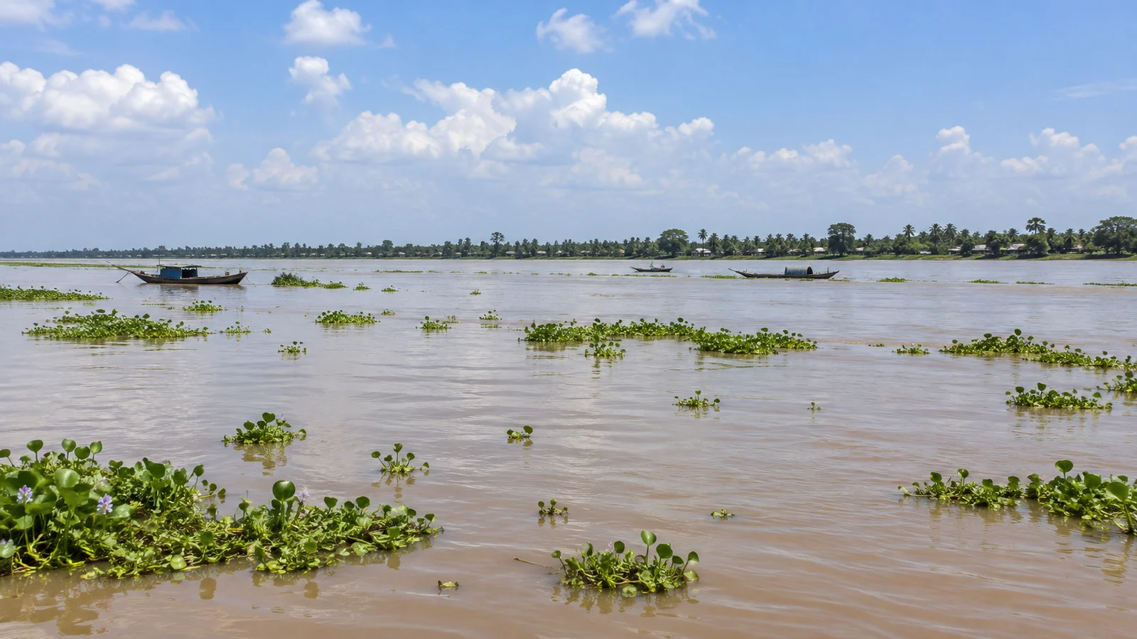 Flat Mekong border river landscape near Tân Châu, Vietnam