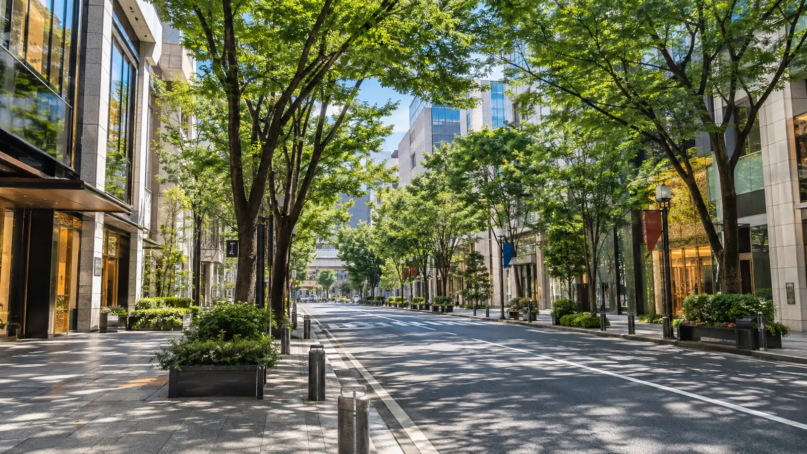 Tree-lined street and modern buildings in Tenjin Fukuoka