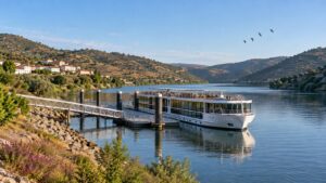 Featured image for Vega de Terrón and Salamanca River Cruise Guide