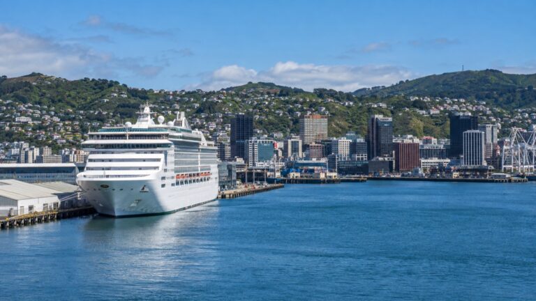 Cruise ship berthed at Wellington's Aotea Quay beneath the city hills